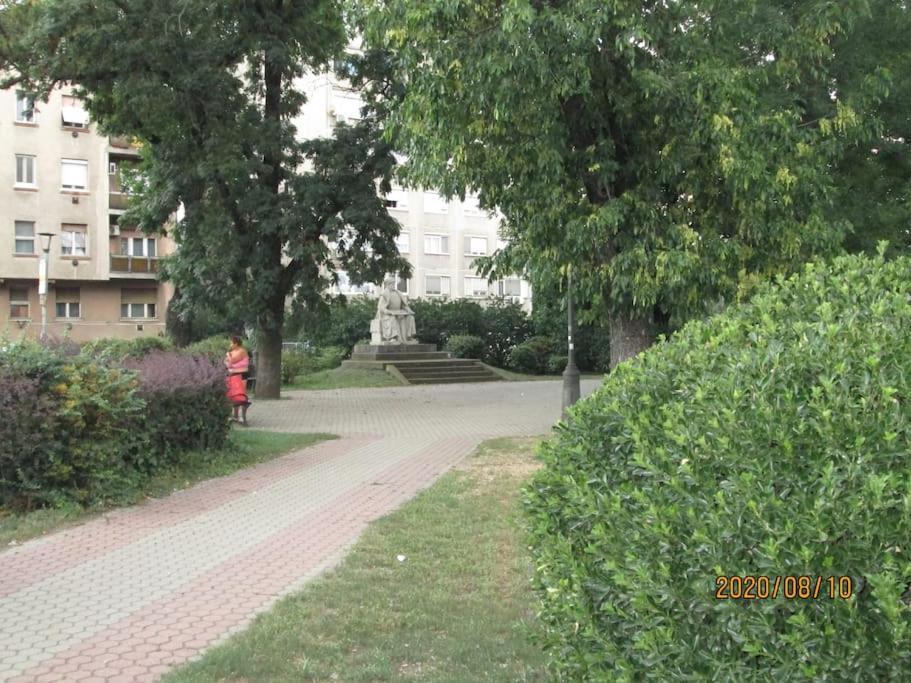 Lavender Apartment Near Heroes' Square & Puskas Stadium Budapeşte Dış mekan fotoğraf